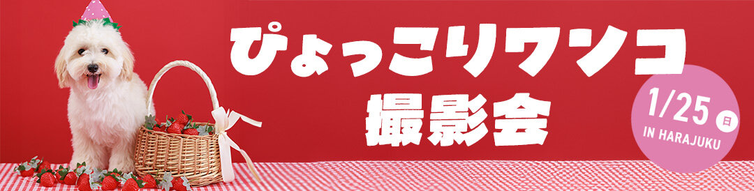 【ぴょっこりワンコ撮影会1月】ワンコnowa主催の人気愛犬撮影会は1月25日（日）に開催。