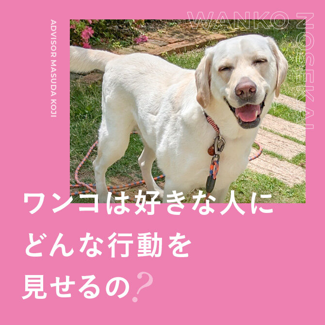 犬が好きな人にだけ見せる行動｜愛情表現の返し方や愛されエピソード