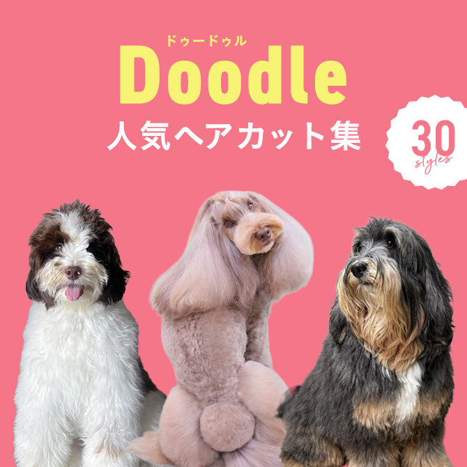 【ドゥードゥルの人気カット集】トリミングの参考になるかわいいカット30選