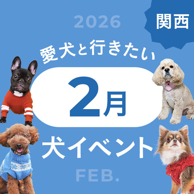 【2026年2月】関西で愛犬と行きたいドッグイベント7選