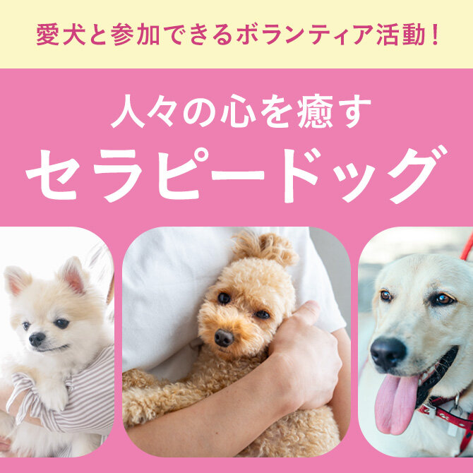 【セラピードッグ】愛犬と参加できるボランティア活動