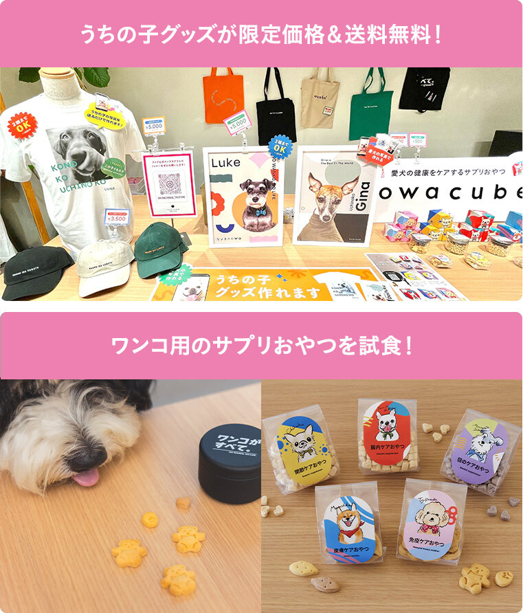 可愛いワンコグッズを手に取ってお買い物！おやつを試食！犬みくじで運試し！