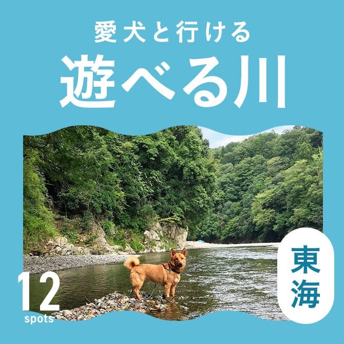 【川遊び東海12選】愛犬と行けるおすすめの川遊びスポット