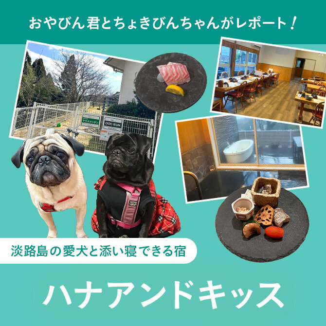 【ガーデンリゾート淡路島 ハナアンドキッス】淡路島の犬と泊まれる宿レポート