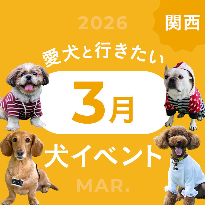 【2026年3月】関西で愛犬と行きたいドッグイベント14選