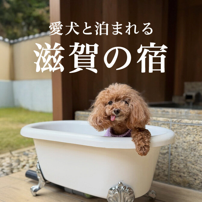 滋賀のペットと泊まれる宿人気ランキング｜2026年最新版