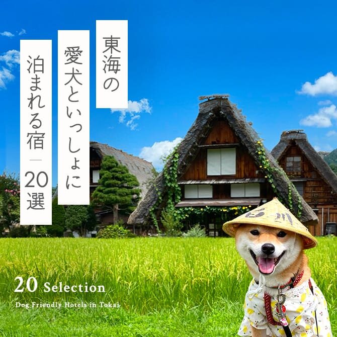 【東海の犬と泊まれる宿20選】東海で人気のペットと泊まれる宿