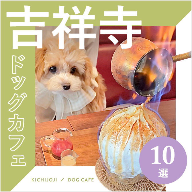 【店内OKドッグカフェ吉祥寺】吉祥寺エリアで人気のドッグカフェ10選｜2023年版