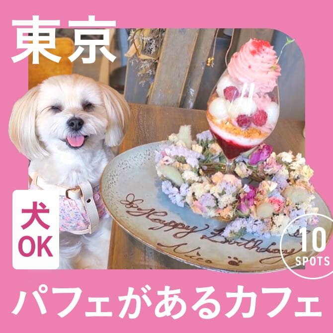 【東京のパフェのあるカフェ】犬連れOK・ペット可カフェ