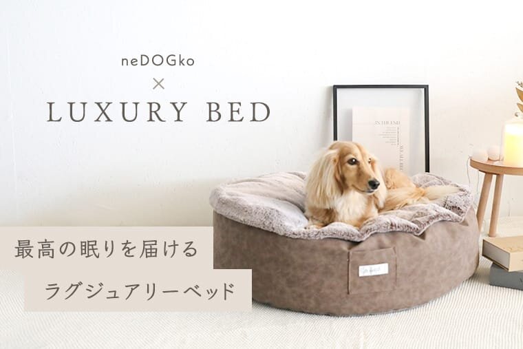 【おしゃれな犬用ベッド】愛犬にワンランク上の寝心地を 