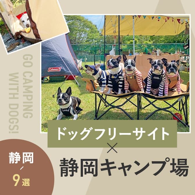 【ドッグフリーサイトのあるキャンプ場 静岡9選】ペット可・犬連れOK！