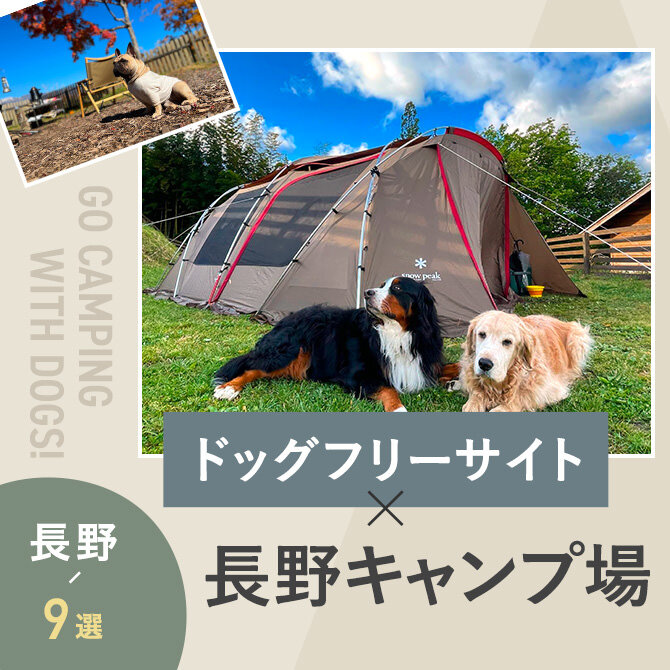【長野県のドッグフリーサイトがあるキャンプ場9選】ペット可・犬連れOK