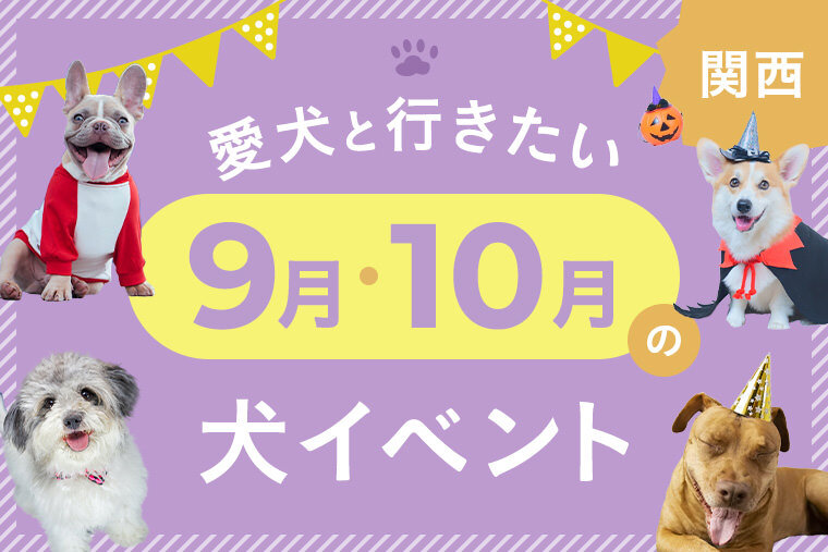 2023年9月10月】関西で愛犬と行きたいドッグイベント12選