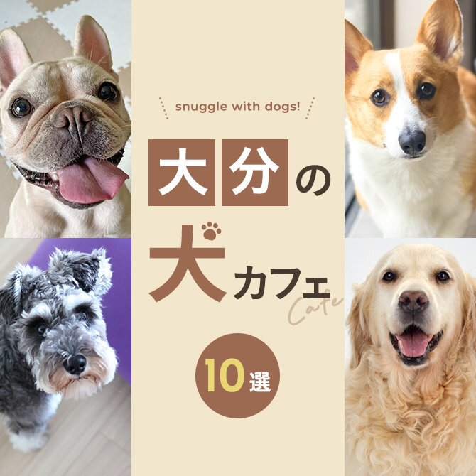 【大分の犬と触れ合える場所10選】犬カフェなど大分で犬と触れ合える場所