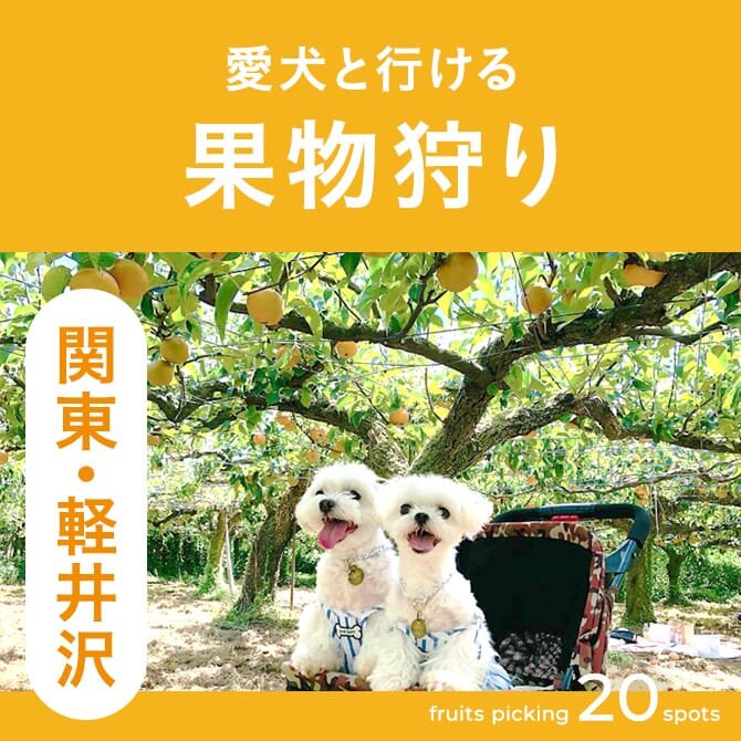 【愛犬同伴可の果物狩り 関東・軽井沢】犬連れOKのフルーツ狩り｜関東・軽井沢20選