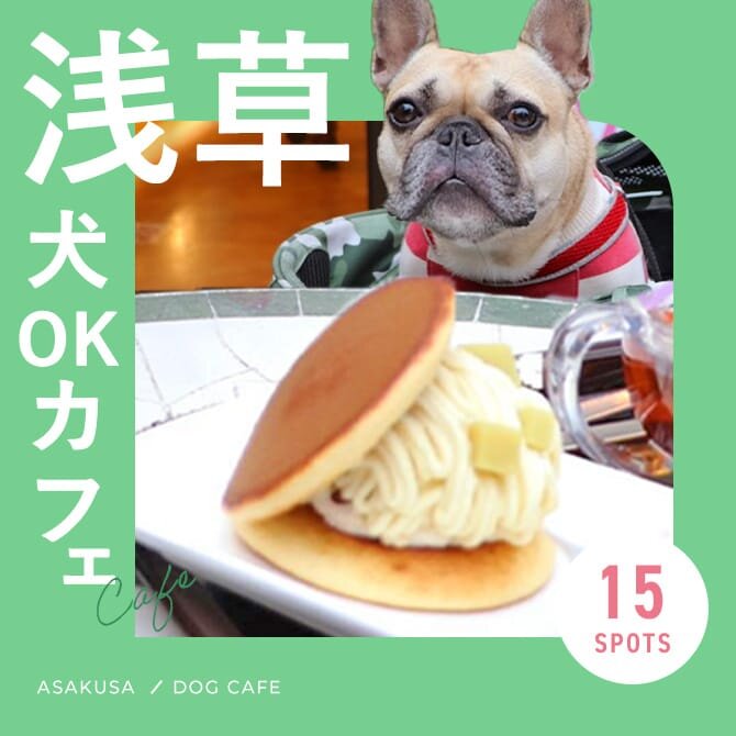 【浅草ドッグカフェ15選】大型犬店内同伴OKやドッグラン併設カフェも！