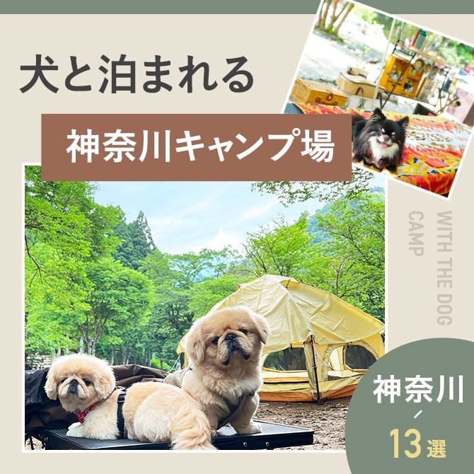 【神奈川の犬と泊まれるキャンプ場13選】ドッグフリーサイトやドッグランのあるキャンプ場