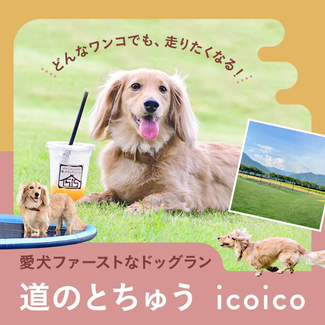 【道のとちゅうicoico】福井県永平寺町のドッグカフェ＆ドッグラン