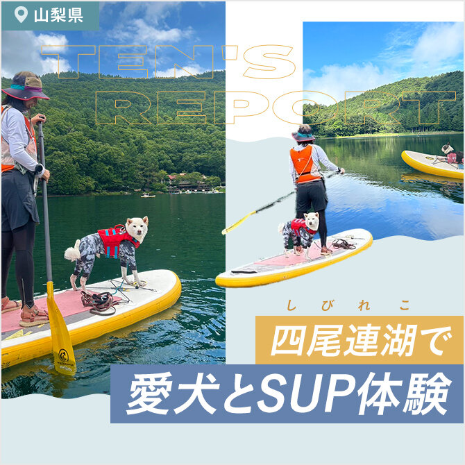 【四尾連湖で愛犬とSUP】愛犬と最高の景色を楽しもう！紅葉の時期にもおすすめ！初心者でも挑戦してみよう！