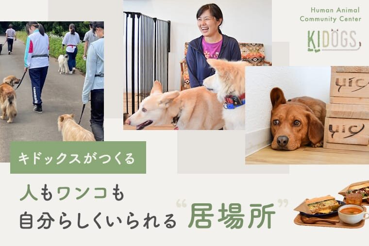 ワンコと変える私たちの社会 Vol.01】 キドックス「人も動物も孤立