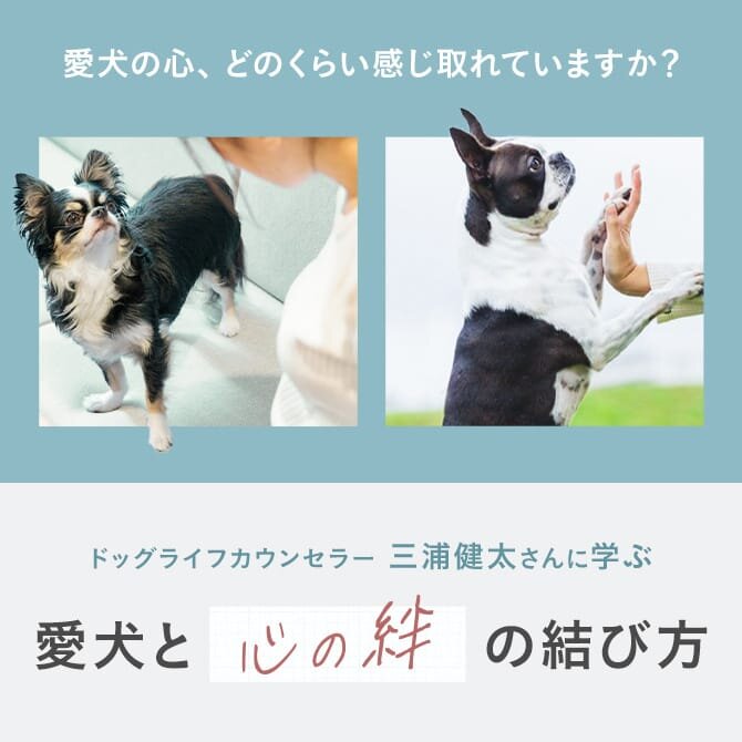 【愛犬と心の絆を深める】ドッグライフカウンセラー三浦健太さんに聞く「本当の愛情のかけ方」