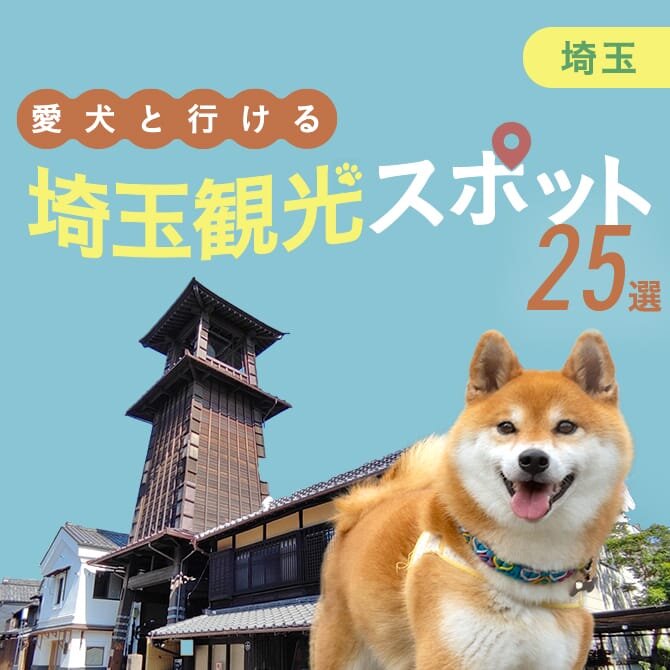 【埼玉の愛犬といけるお出かけスポット25選】ペット同伴・犬連れOKの人気スポット・カフェ