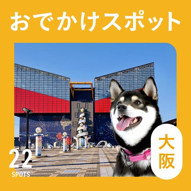 【大阪の愛犬といけるお出かけスポット22選】愛犬連れOKの人気スポット・施設まとめ