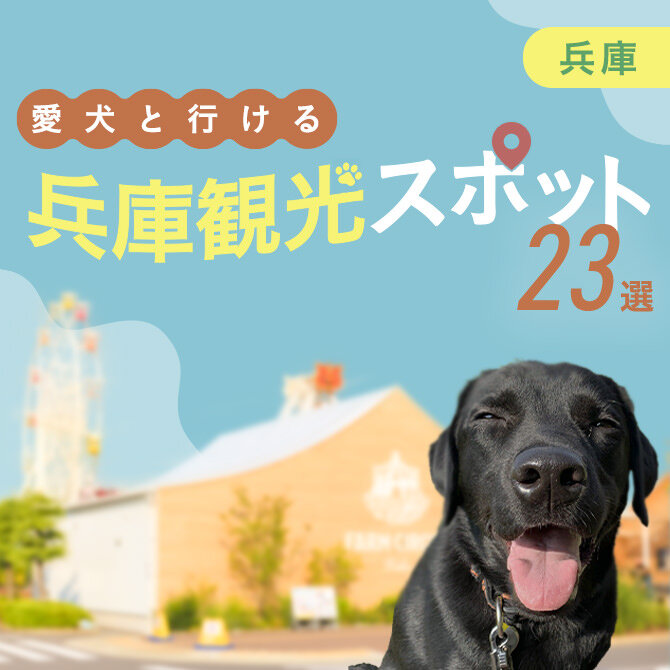 【兵庫の愛犬といけるお出かけスポット23選】愛犬連れOKの人気の施設・ランチスポットまとめ