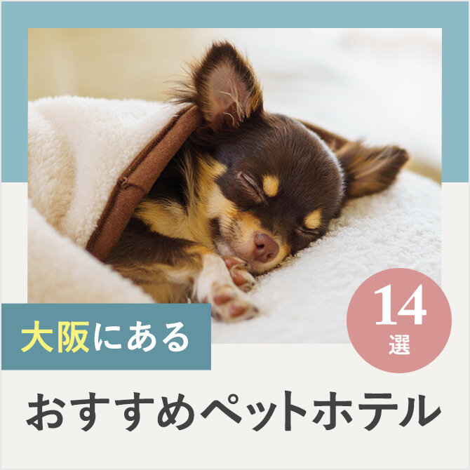 【ペットホテル大阪】大阪のドッグホテル14選！ペット宿泊・お預かり