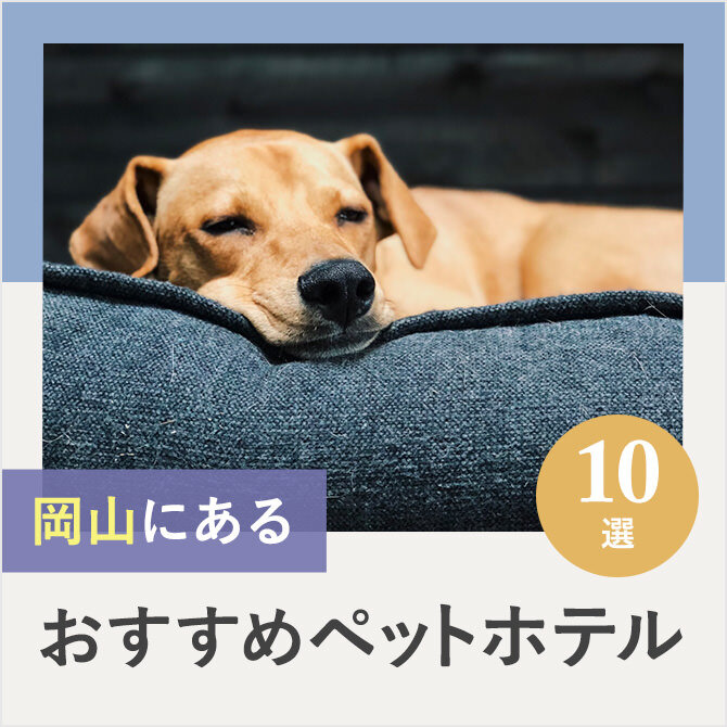 【ペットホテル岡山】岡山のドッグホテル10選！ペット宿泊・お預かり