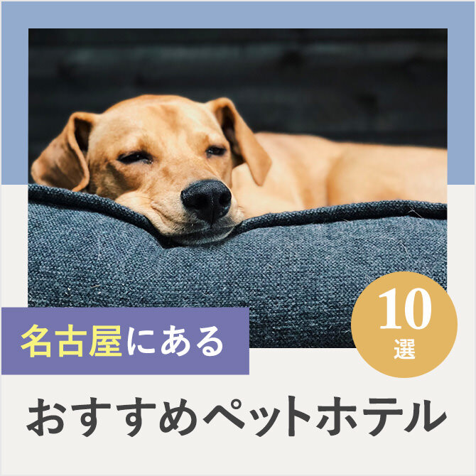 【ペットホテル名古屋】名古屋のドッグホテル10選！ペット宿泊・お預かり