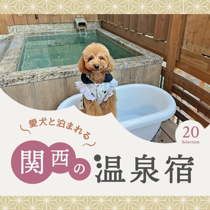 【関西の犬と泊まれる温泉宿20選】関西のペットと泊まれる温泉宿・温泉旅館。犬連れOK20選！