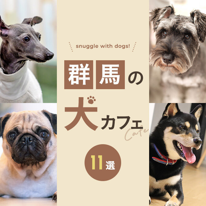 【群馬の犬と触れ合える場所11選】犬カフェなど群馬で犬と触れ合える場所