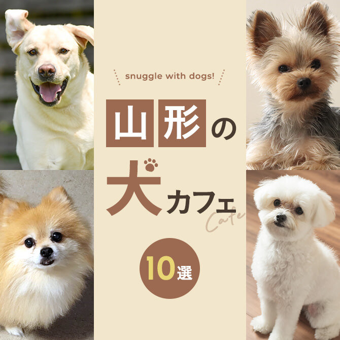 【山形の犬と触れ合える場所10選】犬カフェなど山形で犬と触れ合える場所
