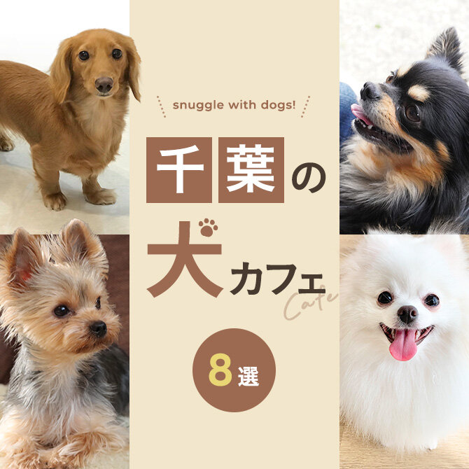 【千葉の犬と触れ合えるカフェ8選】大型犬と触れ合えるカフェなど千葉で人気の犬カフェ！