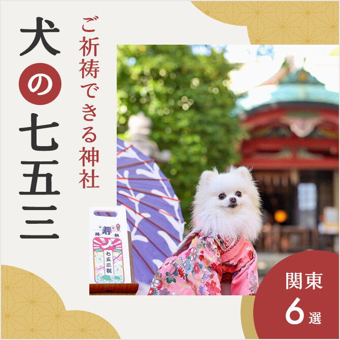 【犬の七五三】犬の七五三はいつ？祈祷できる関東の神社を紹介！