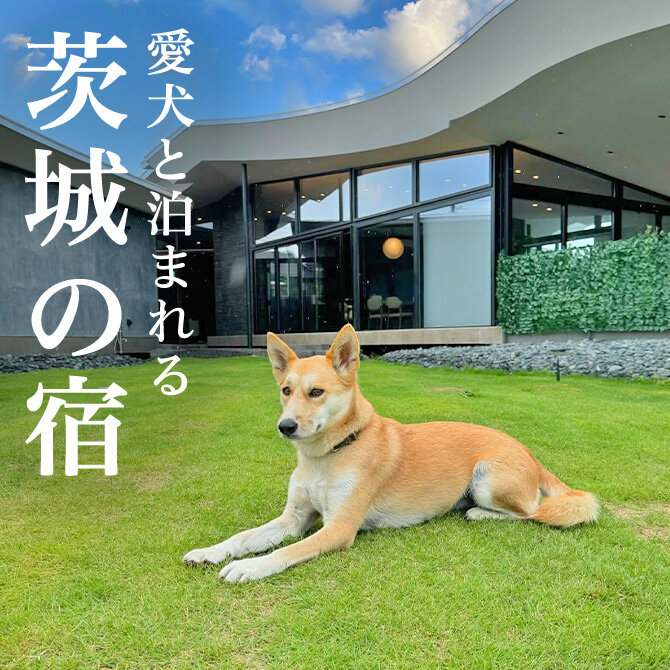 茨城のペットと泊まれる宿ランキング｜最新版