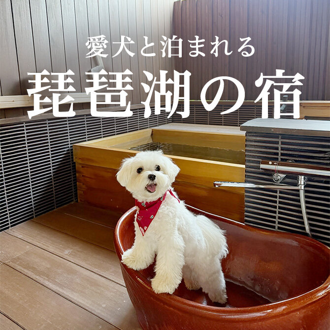 琵琶湖のペットと泊まれる宿｜温泉宿・ホテル・コテージ宿一覧