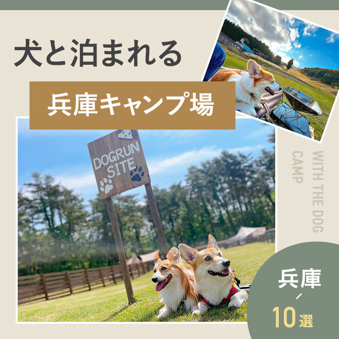 【兵庫の犬と泊まれるキャンプ場10選】ドッグラン・ドッグフリーサイトのあるキャンプ場も！