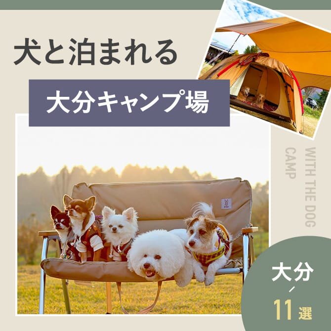 【大分の犬と泊まれるキャンプ場11選】ドッグフリーサイトやドッグランのあるキャンプ場｜2023年版