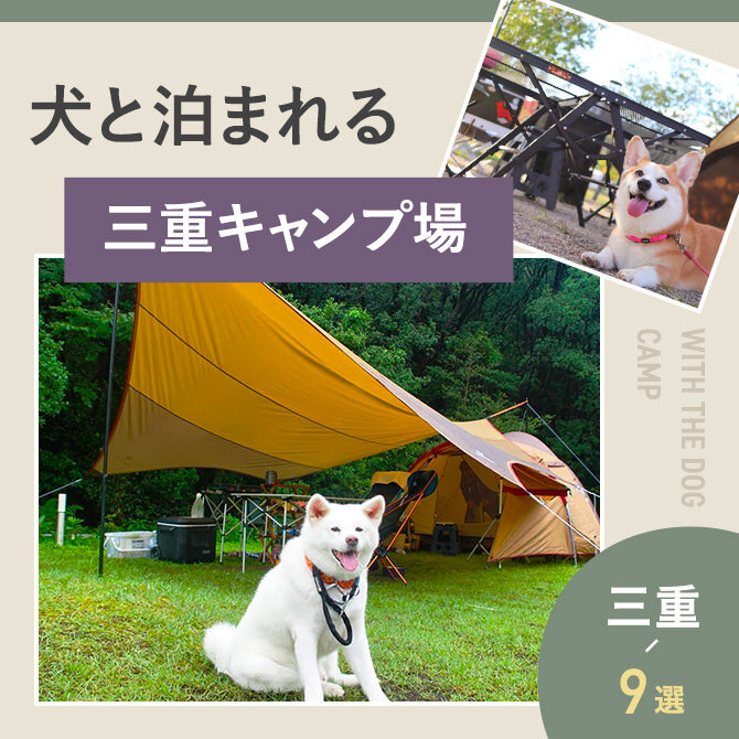 【三重の犬と泊まれるキャンプ場9選】ドッグフリーサイトやドッグランのあるキャンプ場｜2023年版