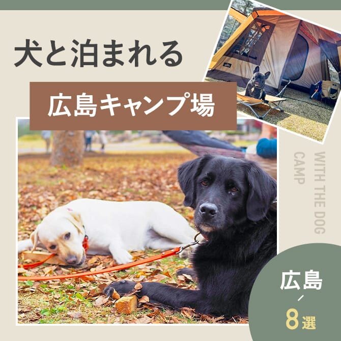 【広島の犬と泊まれるキャンプ場8選】ドッグフリーサイトやドッグランのあるキャンプ場｜2023年版