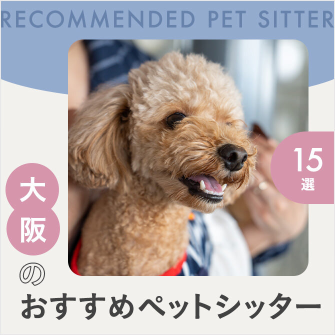 【大阪のペットシッター15選】人気のおすすめペットシッター