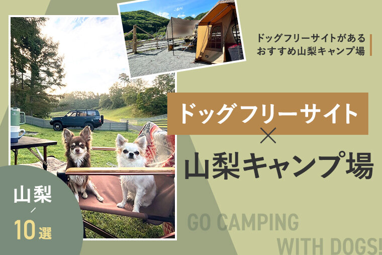 トップ 山梨 犬 ペットドック