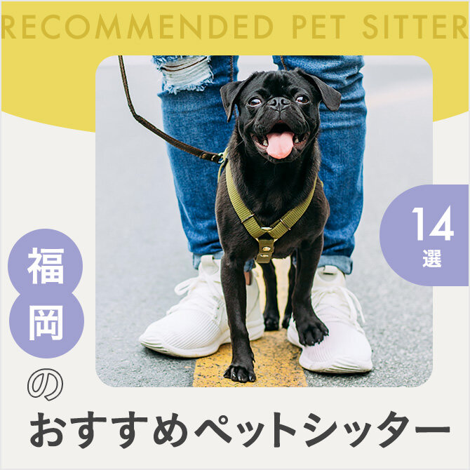 【福岡のペットシッター14選】人気のおすすめペットシッター