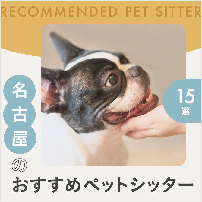 【名古屋のペットシッター15選】人気のおすすめペットシッター