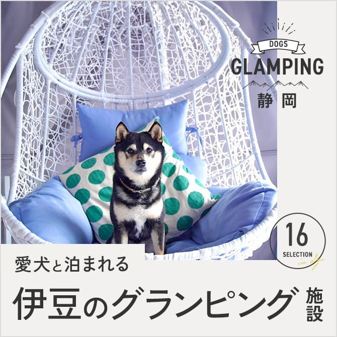【伊豆・静岡のペット可・犬連れOKのグランピング施設16選】愛犬と泊まれるドッググランピング