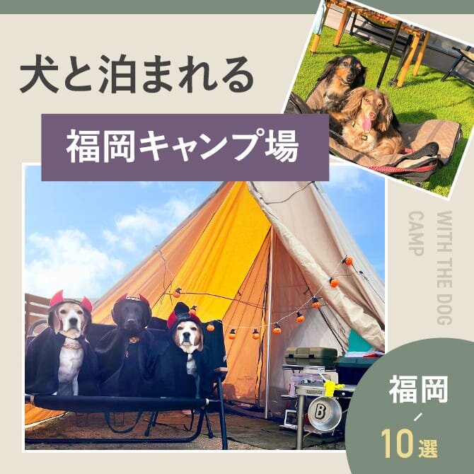 【福岡の犬と泊まれるキャンプ場10選】ドッグフリーサイトやドッグランのあるキャンプ場｜2023年版