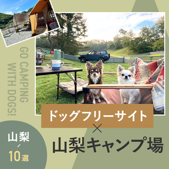 【ドッグフリーサイトのあるキャンプ場 山梨10選】ペット可・犬連れOK！
