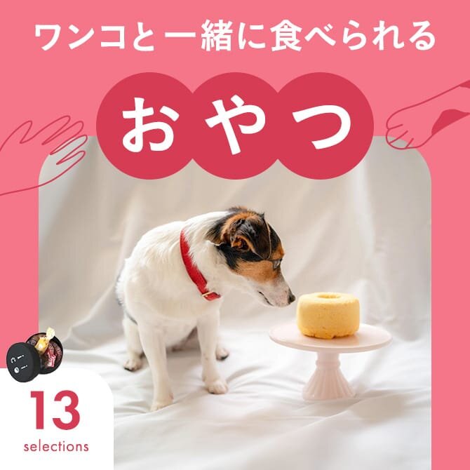 【犬のおやつ】人と犬が一緒に食べられるおやつ13選